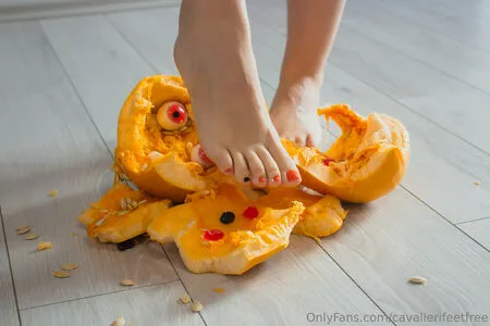 Cavalierifeetfree OnlyFans Leaked Free Thumbnail Picture - #Vl9EYEz8eo