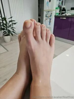 Cavalierifeetfree OnlyFans Leaked Free Thumbnail Picture - #jI92OtHQMC