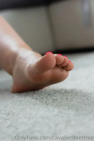 Cavalierifeetfree OnlyFans Leaked Free Thumbnail Picture - #k7WLAwvh2K