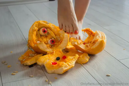 Cavalierifeetfree OnlyFans Leaked Free Thumbnail Picture - #wURCuCKFBR
