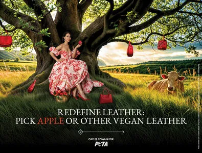 Cayleecowan OnlyFans Leaked Free Thumbnail Picture - #pho5P7C61x