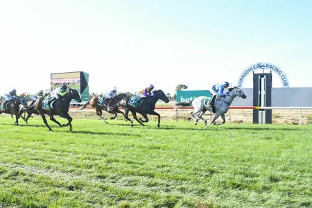 Cece Rose OnlyFans Leaked Free Thumbnail Picture - #I22YM0iBLv