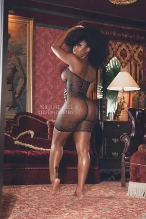 Cece Wetdreams OnlyFans Leaked Free Thumbnail Picture - #er6wyCObCO