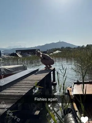 Celinealbar OnlyFans Leaked Free Thumbnail Picture - #IJIl73SqMq