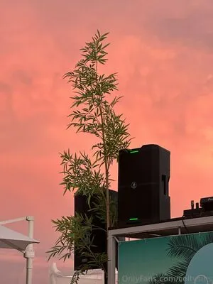 Celtysins OnlyFans Leaked Free Thumbnail Picture - #sted8moCjv