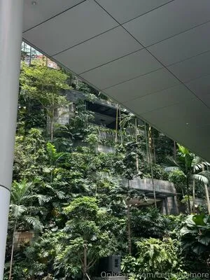 Celtysinsmore OnlyFans Leaked Free Thumbnail Picture - #6pSlUymi1R