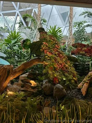 Celtysinsmore OnlyFans Leaked Free Thumbnail Picture - #ZasMp7CnVS