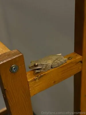 Celtysinsmore OnlyFans Leaked Free Thumbnail Picture - #ckGq1MstpG