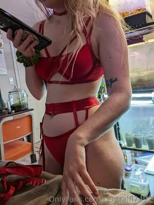 Centralfl7492 OnlyFans Leaked Free Thumbnail Picture - #gORTirhEda