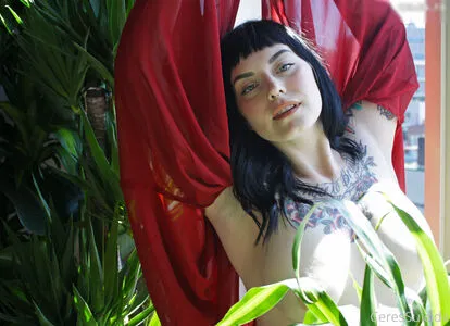 Ceres Suicide OnlyFans Leaked Free Thumbnail Picture - #1SIFiP9FJu