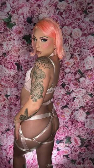 Chanelsantini OnlyFans Leaked Free Thumbnail Picture - #rXL1aFGVH7