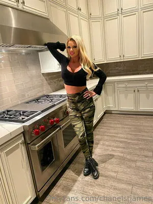 Chanelstjames OnlyFans Leaked Free Thumbnail Picture - #YMIEaJ0Ulq