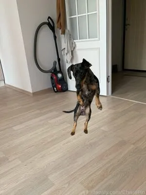 Charapin OnlyFans Leaked Free Thumbnail Picture - #deSCL3obBc