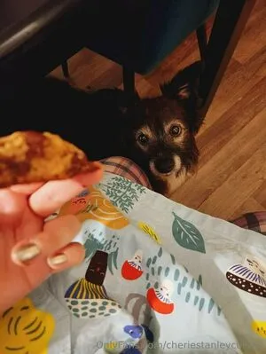 Cheriedarling OnlyFans Leaked Free Thumbnail Picture - #8J6XrNusJs