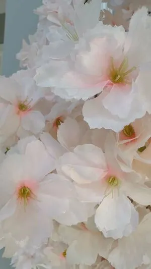 Cherryblossom OnlyFans Leaked Free Thumbnail Picture - #kLnk7CCcnY