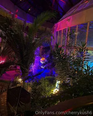 Cherrykush6 OnlyFans Leaked Free Thumbnail Picture - #7YqVvOfEUN