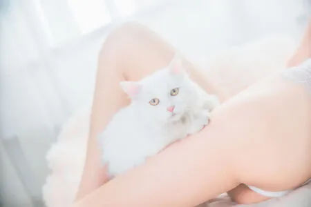 Cherryneko0628 OnlyFans Leaked Free Thumbnail Picture - #1JQuZhY34C