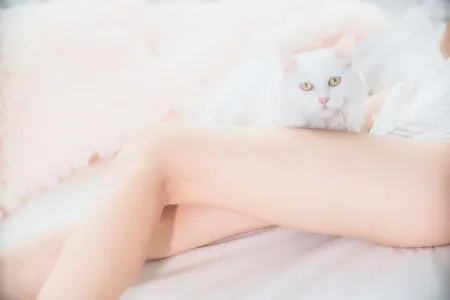 Cherryneko0628 OnlyFans Leaked Free Thumbnail Picture - #2IaIfSuXpr