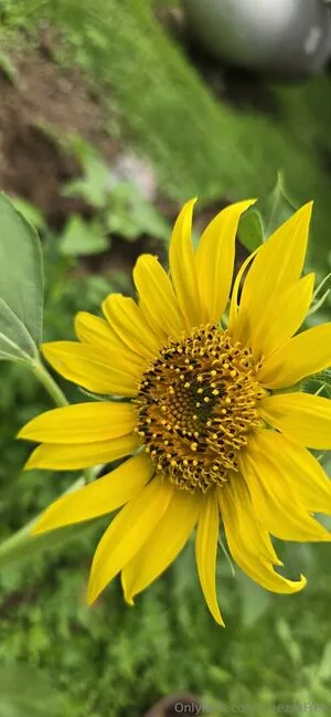 Chezzafree OnlyFans Leaked Free Thumbnail Picture - #aB34tY7g3q