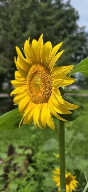 Chezzafree OnlyFans Leaked Free Thumbnail Picture - #iVpvgq9Q5A