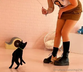 Chip256 OnlyFans Leaked Free Thumbnail Picture - #tgZlO48wq2