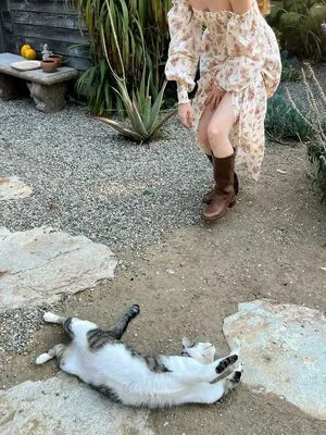 Chrisean Rock OnlyFans Leaked Free Thumbnail Picture - #9Jg5wwAV2j