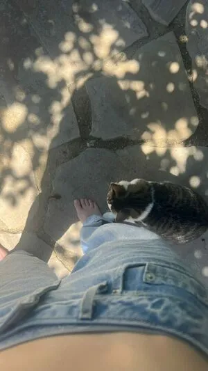 Chrisean Rock OnlyFans Leaked Free Thumbnail Picture - #Dbhs9MtZeN