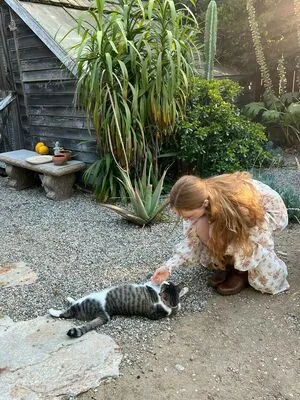 Chrisean Rock OnlyFans Leaked Free Thumbnail Picture - #ixKxPOS4Ri