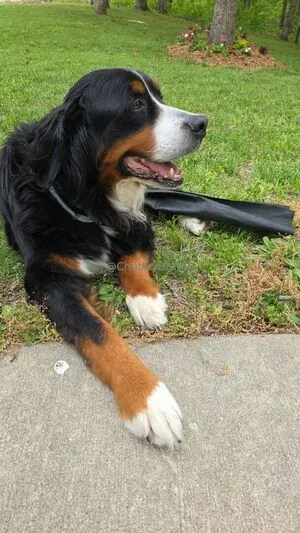 Chubbybrat69vip OnlyFans Leaked Free Thumbnail Picture - #SpaTwf7t1Y