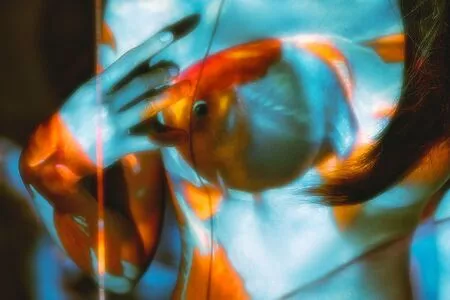 Chunmomo OnlyFans Leaked Free Thumbnail Picture - #4m4wPrtZ81