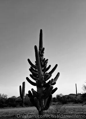 Cissaldansinferno OnlyFans Leaked Free Thumbnail Picture - #ptOiSKaO8U