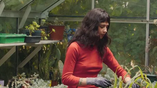 Clairo OnlyFans Leaked Free Thumbnail Picture - #tuAuOdjqtQ