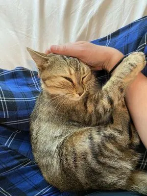 Clara Dee OnlyFans Leaked Free Thumbnail Picture - #08ZkjPPDCE