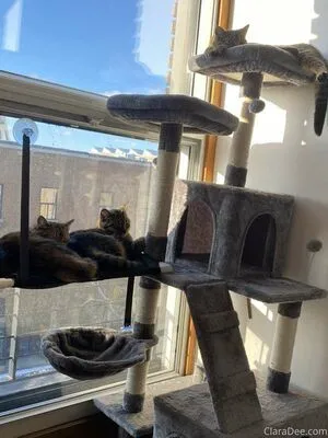 Clara Dee OnlyFans Leaked Free Thumbnail Picture - #FtjFnZ8VdG