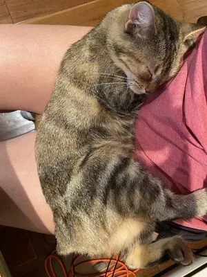 Clara Dee OnlyFans Leaked Free Thumbnail Picture - #eL7b0avfAA