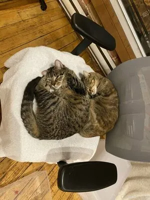 Clara Dee OnlyFans Leaked Free Thumbnail Picture - #frZFPbYwSg