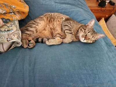 Claracrispfree OnlyFans Leaked Free Thumbnail Picture - #Si9HWvUHGW