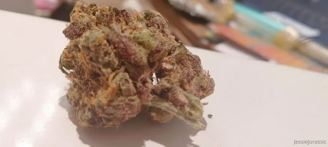 Clownqueen17 OnlyFans Leaked Free Thumbnail Picture - #pxfDuh7bl1