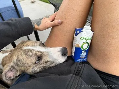 Clubshayfox OnlyFans Leaked Free Thumbnail Picture - #d50nlwX8rd