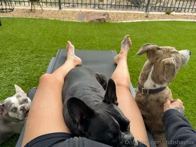 Clubshayfox OnlyFans Leaked Free Thumbnail Picture - #q0u9iYCkbM