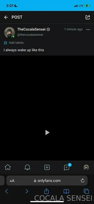 Cocalasensei OnlyFans Leaked Free Thumbnail Picture - #BcUhqr4b7F