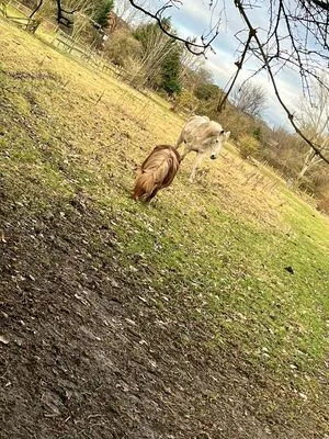 Cocobean1098 OnlyFans Leaked Free Thumbnail Picture - #t2azpGkfRU