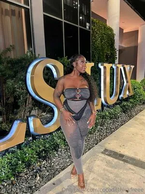 Cocodethickfreee OnlyFans Leaked Free Thumbnail Picture - #27BtTjvuti