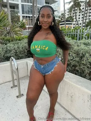 Cocodethickfreee OnlyFans Leaked Free Thumbnail Picture - #UrZUNCSDmV