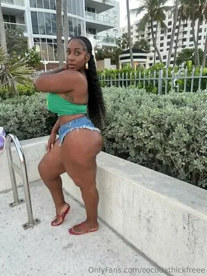 Cocodethickfreee OnlyFans Leaked Free Thumbnail Picture - #u6dlRXUKmf