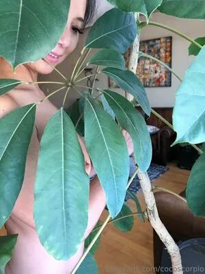 Cocoscorpio OnlyFans Leaked Free Thumbnail Picture - #ExI2UvVbeX