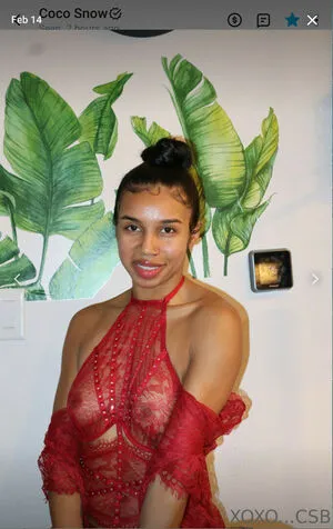Cocosnowbun OnlyFans Leaked Free Thumbnail Picture - #2Tay3a2i4u