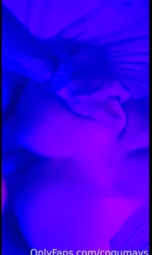 Cogumays OnlyFans Leaked Free Thumbnail Picture - #DQeapoLGpp