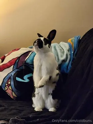 Coldbuns OnlyFans Leaked Free Thumbnail Picture - #YTt0DWdUwz