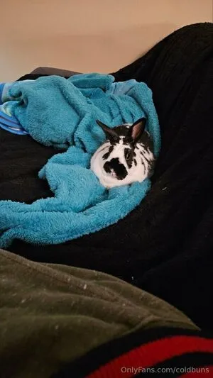 Coldbuns OnlyFans Leaked Free Thumbnail Picture - #rfgLdXrnxt